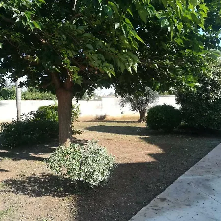 Bed & Breakfast Il Giardino Degli Ulivi